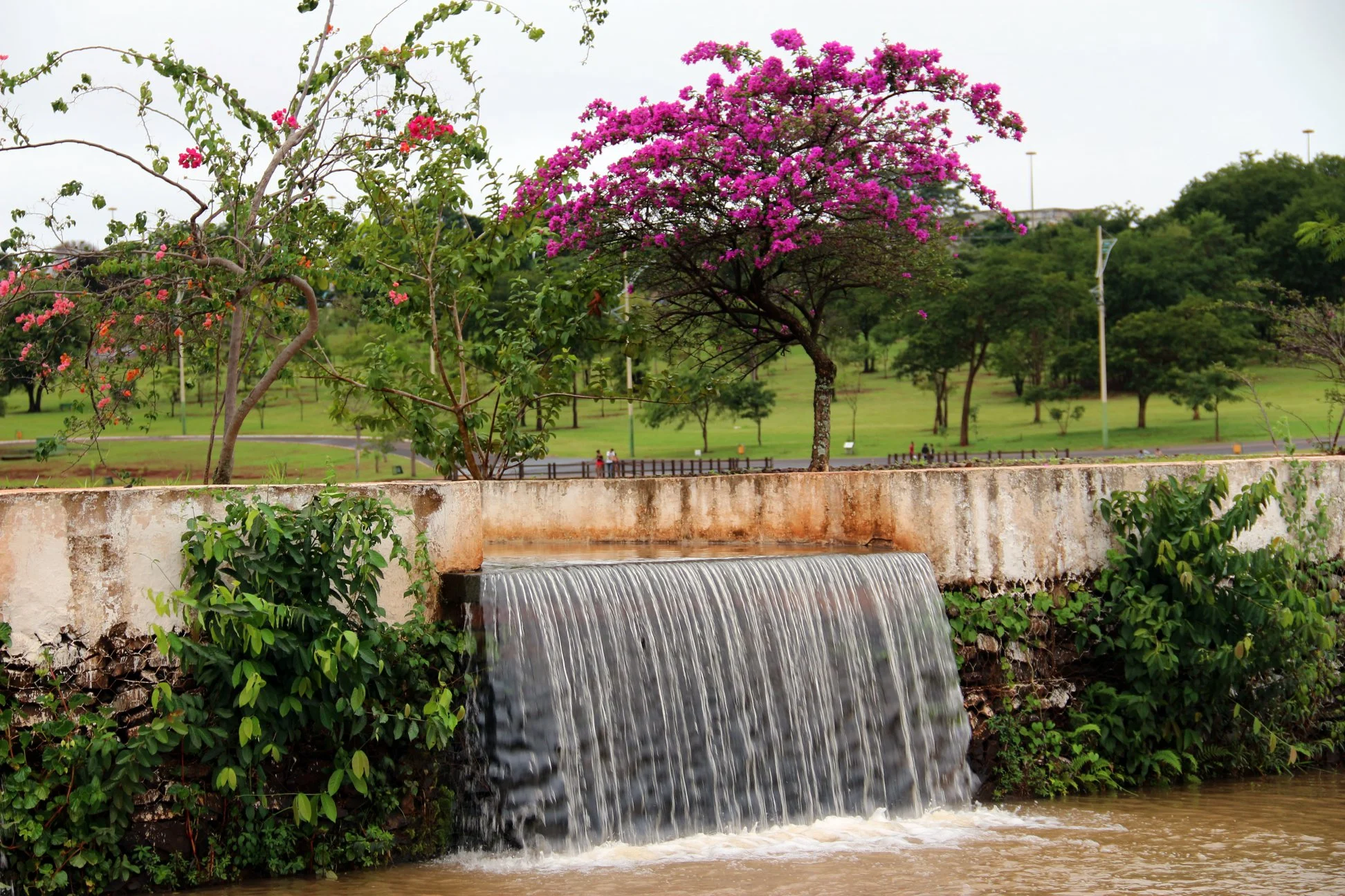 Parque das Nações Indígenas